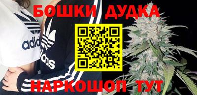 альфа пвп Заводоуковск