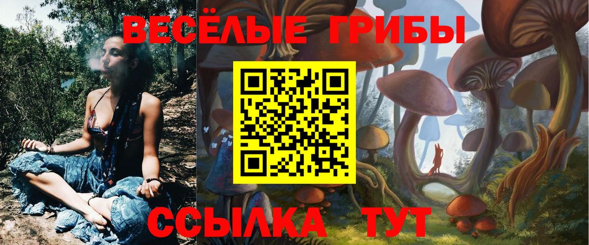Галлюциногенные грибы мухоморы  Вход с VPN  Майкоп 